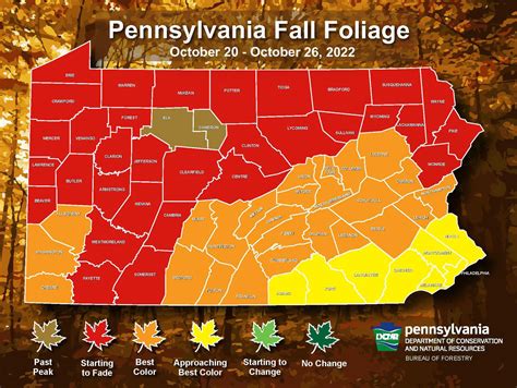 Pennsylvania Fall Foliage Map 2024 Pdf Download - Alexia Nertie