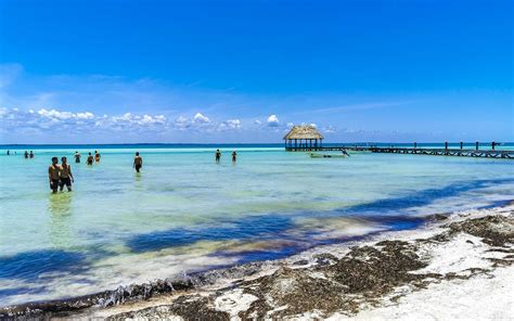 Holbox Quintana Roo Mexico 2022 Beautiful Holbox island beach Punta ...