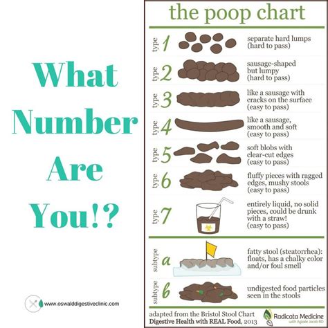 𝙒𝙝𝙖𝙩 𝙣𝙪𝙢𝙗𝙚𝙧 𝙞𝙨 𝙮𝙤𝙪𝙧 𝙥𝙤𝙤? 𝘿𝙤 𝙮𝙤𝙪 𝙠𝙣𝙤𝙬!?⁠ ⁠ Read the chart, and comment ...