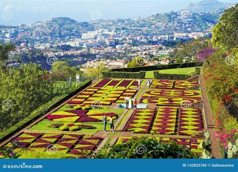 Funchal, Madeira, Portugal, Botanical Garden. Stock Image - Image of ...