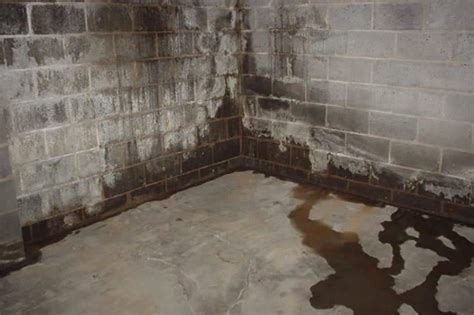 How Much Does it Cost to Waterproof a Basement? – The Housing Forum