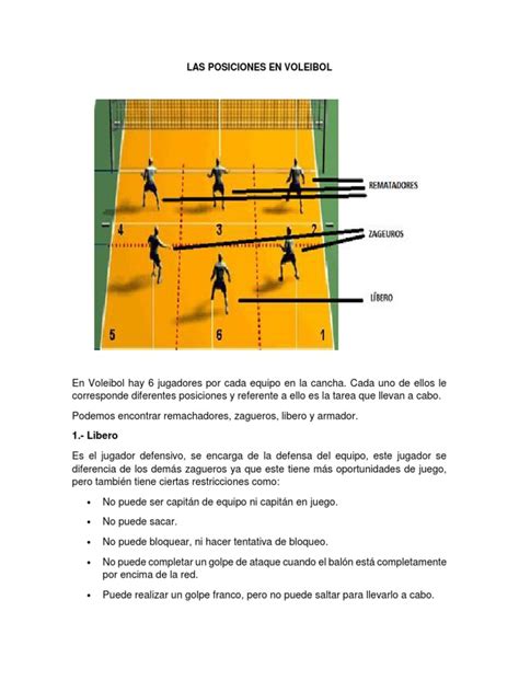 Total 32 Imagen Posiciones Basicas Del Voleibol En La Cancha Viaterramx