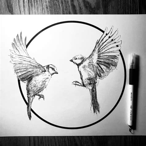 Two birds : r/drawing