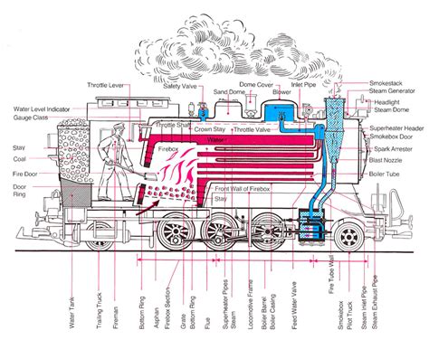 Steam Engine Locomotive Diagram Cross Section Of A Steam Loc