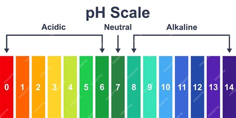 Premium Vector | Chart ph acidic, neutral and alkaline scale. Ph value ...