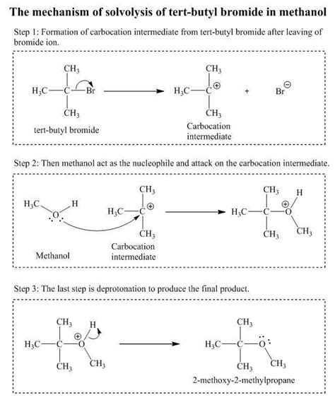 Tert Butyl Bromide Structure