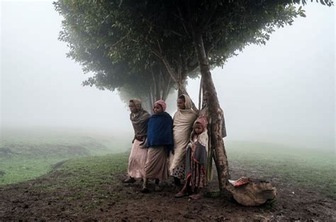 Hunger kills nearly 200 children across Ethiopia's Tigray: Survey ...