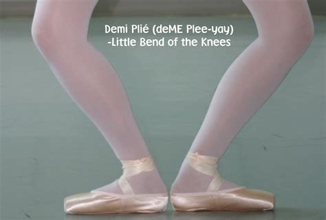 Image - Plie.jpg | Ballet Wiki | FANDOM powered by Wikia