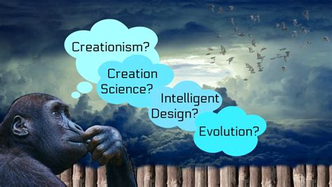 What Are the Differences Between Evolution and Creationism, Creation ...