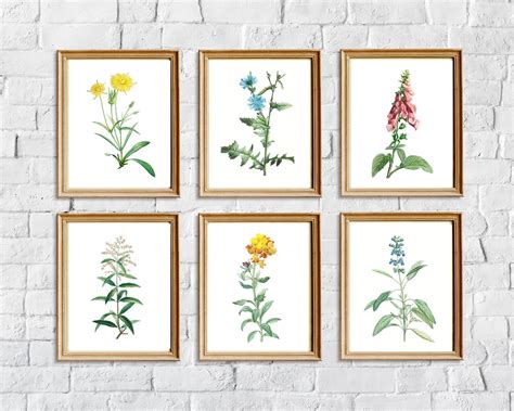 Wildflower Print Set of 6 Prints Summer Wall Art Floral | Etsy