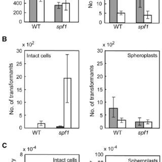 Transformation efficiency and frequency of intact cell and spheroplast ...