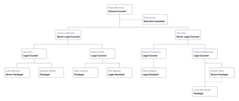 Free Legal Department Org Chart Template