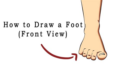 Foot Front View Drawing