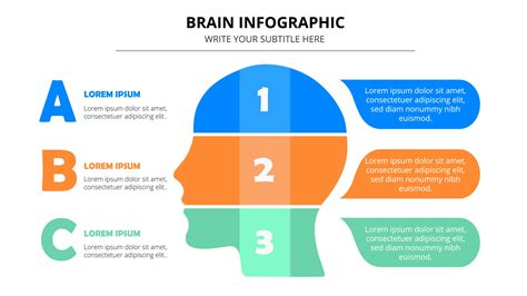 Infographic Brain