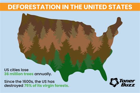 Global Deforestation Graph