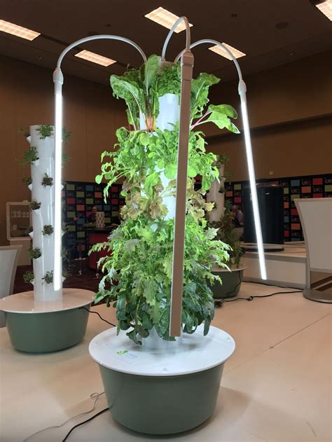 Grow 365 - 24/7 indoor or out with the power of vertical aeroponic ...