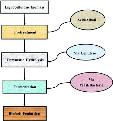 2 Overview of biofuels production process from lignocellulosic biomass ...