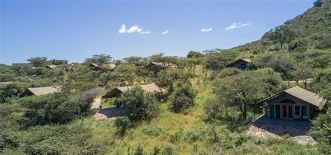 Serengeti National Park Honeymoon Destination Review