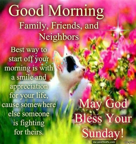 May God Bless Your Sunday - Good Morning Wishes & Images