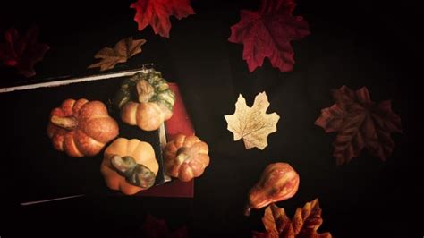 Get this Professional Fall Leaves and Pumpkins Desktop Wallpaper ...