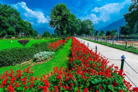 Apple Orchards in Srinagar, Srinagar (2025) - Images, Timings | Holidify