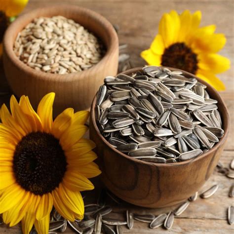 Sunflower Seeds – Delci