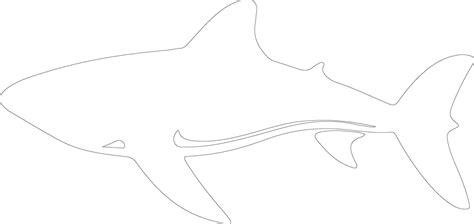 whale shark outline silhouette 38495966 Vector Art at Vecteezy