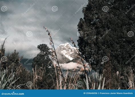 Impressive Landscape of the Imposing Snowy Mountains among the Trees of ...