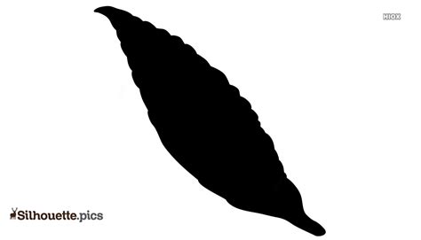 Feather Silhouette Vector Free at Vectorified.com | Collection of ...