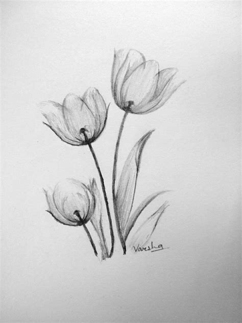 Easy flower shading || pencil shading techniques | Flower drawing ...