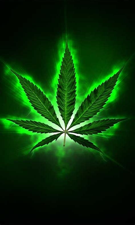 Pot Leaf Wallpaper - WallpaperSafari