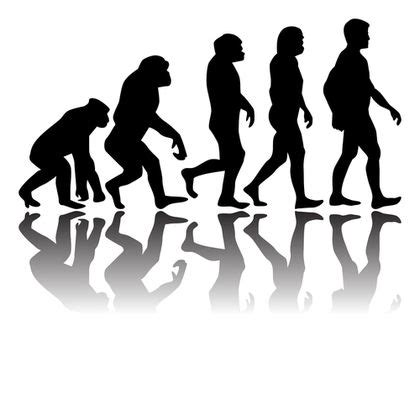 Evolution - Biology Encyclopedia - body, examples, human, process ...