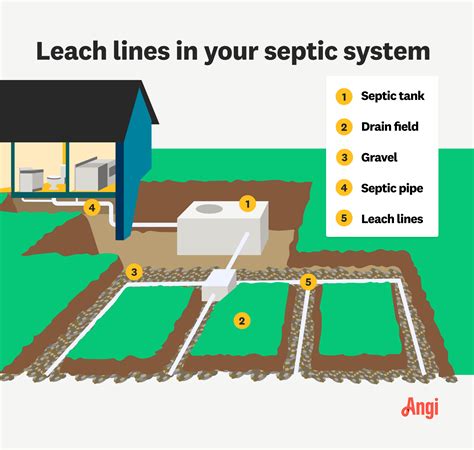 Septic Leach Lines: How They Work