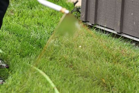 BEST Lawn Aeration Toronto With Before & After Photos - The #1 Most ...