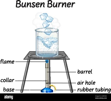 Science bunsen burner diagram illustration Stock Vector Image & Art - Alamy