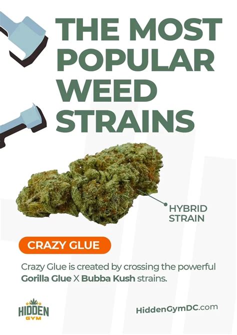 Top 10 Most Popular Weed Strains In 2022