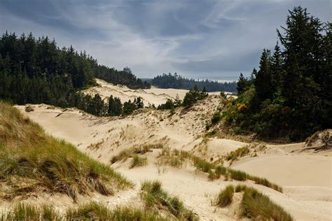 Oregon Dunes Photos, Download The BEST Free Oregon Dunes Stock Photos ...