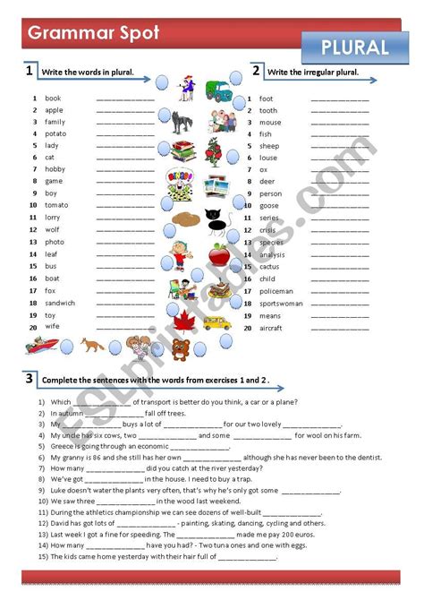 Irregular Plural Nouns Exercises