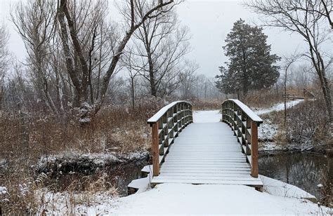 Photo of the Week: First Snowy Day in January - Lireo Designs