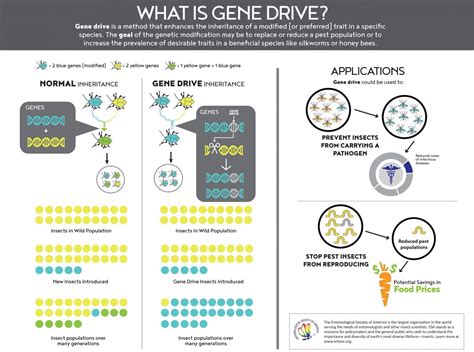 What is Gene Drive? • GeneConvene Virtual Institute