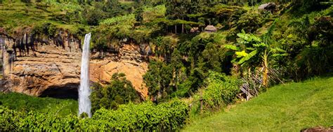 Mount Elgon National Park: Fees, Guide, Price, Lodges [2024]