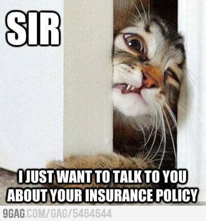 Insurance Memes and Funny Jokes | Ashburnham Insurance Blog