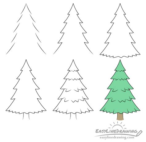 How to Draw a Pine Tree Step by Step - EasyLineDrawing