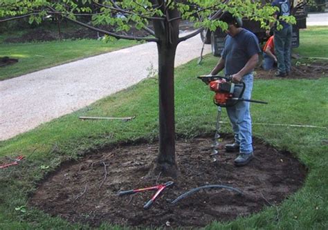 Mulching Techniques - On Earth Plant Care