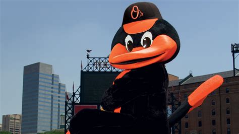 The Oriole Bird | Baltimore Orioles