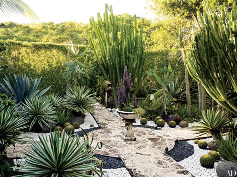 These Homes Feature the Best Plants for a Desert Landscape Photos ...