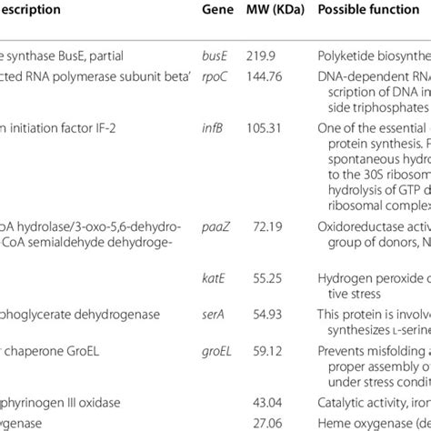 Proteins identified from SDS-PAGE gel analysis | Download Scientific ...