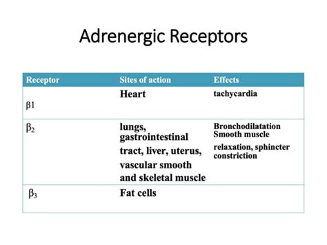 Epinephrine and Norepinephrine.pptx