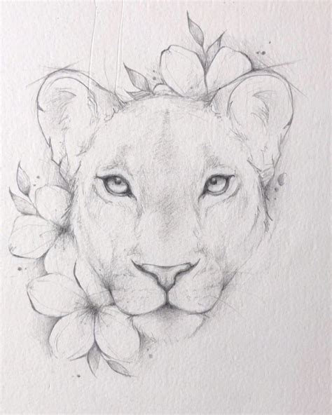 Female Lion Drawing Easy - Draw Easy