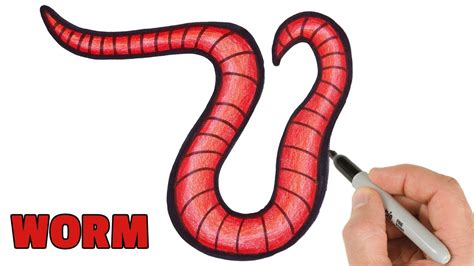 How To Draw A Worm Easy Drawing Art | Porn Sex Picture